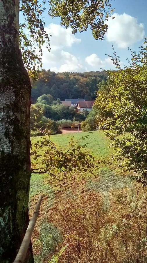 Apartment Mit Gartenblick Eckersdorf